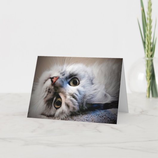 どうしたの？考えのカード カード (正面)