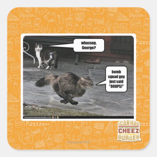 どうしたジョージ？ スクエアシール (正面)