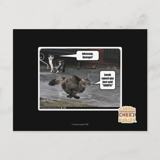 どうしたジョージ？ ポストカード (正面)