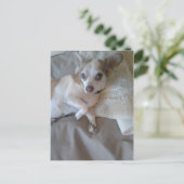 どうした？ ポストカード (スタンド正面)