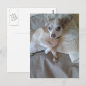 どうした？ ポストカード (正面/裏面)