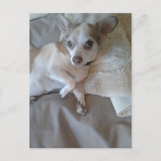 どうした？ ポストカード