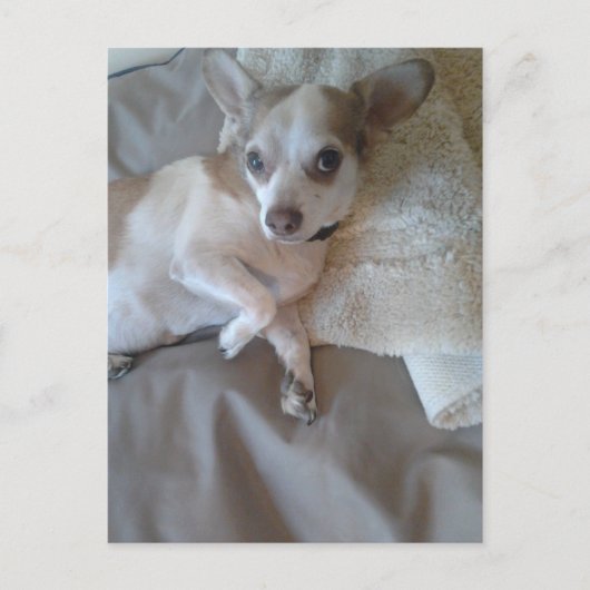 どうした？ ポストカード (正面)