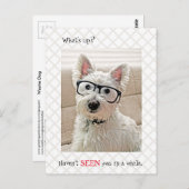 どうした、見たことない、眼鏡を掛けた犬 ポストカード (正面/裏面)