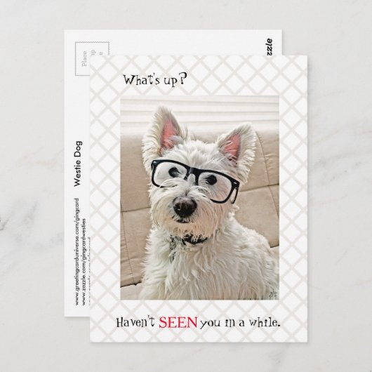 どうした、見たことない、眼鏡を掛けた犬 ポストカード (正面/裏面)