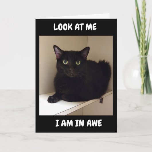 どうして50歳なんて迎えられるの？ カード (正面)