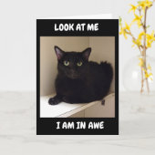 どうして50歳なんて迎えられるの？ カード (黄色い花)