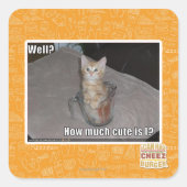 どうだ？ スクエアシール (正面)