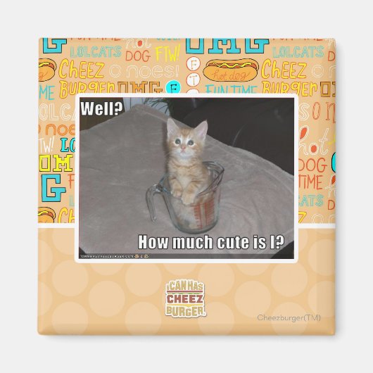 どうだ? マグネット (正面)