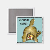 どうだ？可愛い猫マグネット マグネット (正面/裏面)