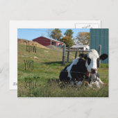 「どうだ？」牛はがき ポストカード (正面/裏面)