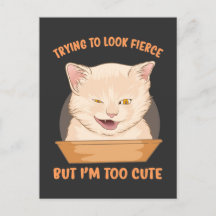 どう猛に見せようとしても私は可愛すぎる