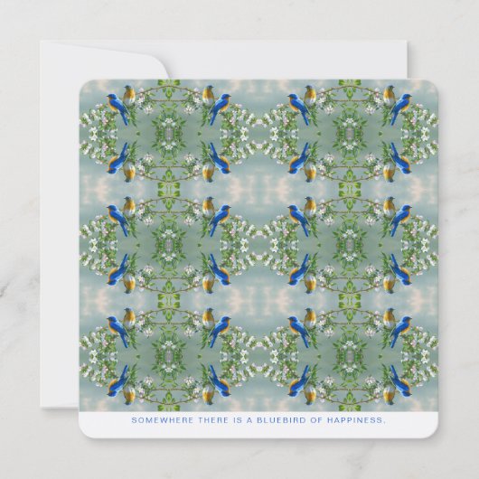 どこかに幸せのブルーバードの高精細 (正面)