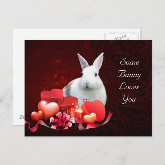 どこかのウサギがあなたを愛している ポストカード (正面/裏面)