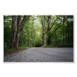 どこかへの唯一の道 フォトプリント           