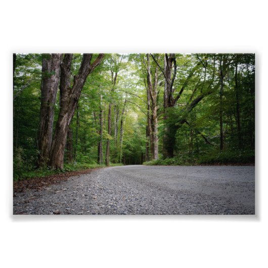 どこかへの唯一の道 フォトプリント            (正面)