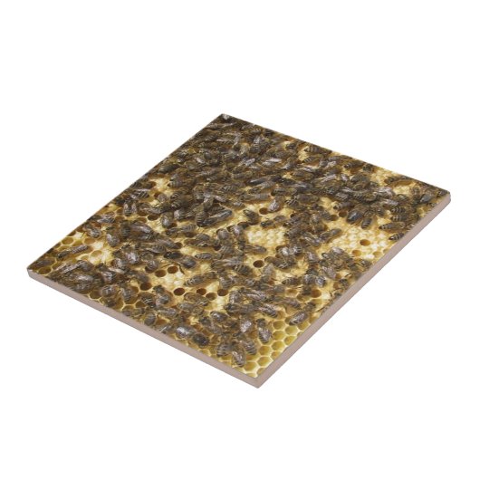 どこでも蜂蜜の蜂 タイル (側面)