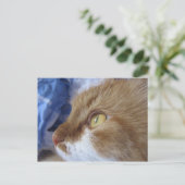 どこで見ていますか。 ポストカード (スタンド正面)