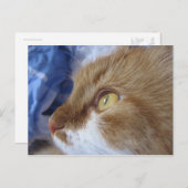 どこで見ていますか。 ポストカード (正面/裏面)