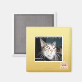 どこにいたの マグネット (正面/裏面)