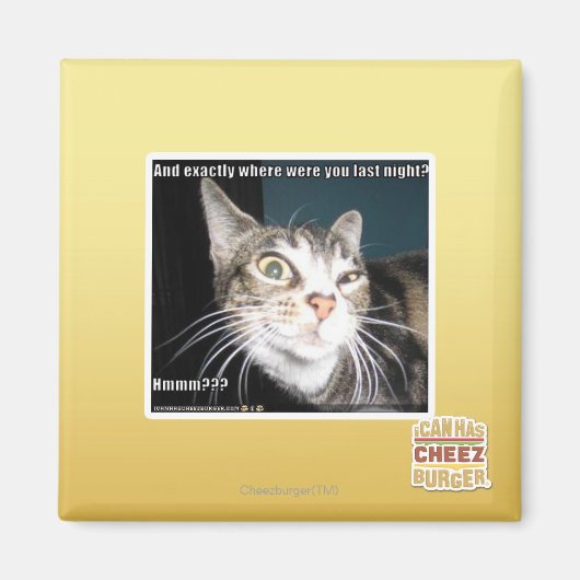 どこにいたの マグネット (正面)