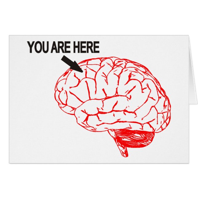 どこにいますか。 (正面横)