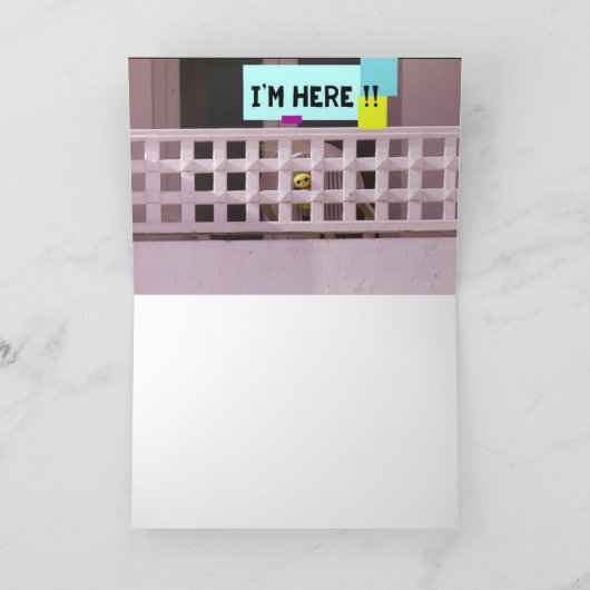 どこにいるの? #1 カード (内部)