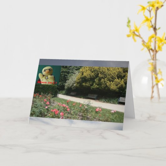 どこにいるの？ #4b カード (黄色い花)