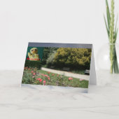 どこにいるの？ #4b カード (正面)