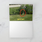 どこにいるの？ #5b カード (内部)