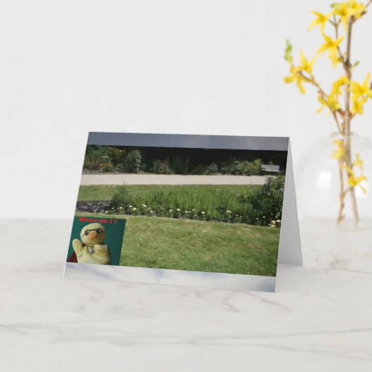 どこにいるの？ #5b カード (黄色い花)