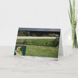 どこにいるの？ #5b カード