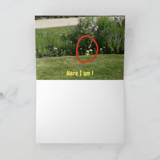 どこにいるの？ #5c カード (内部)