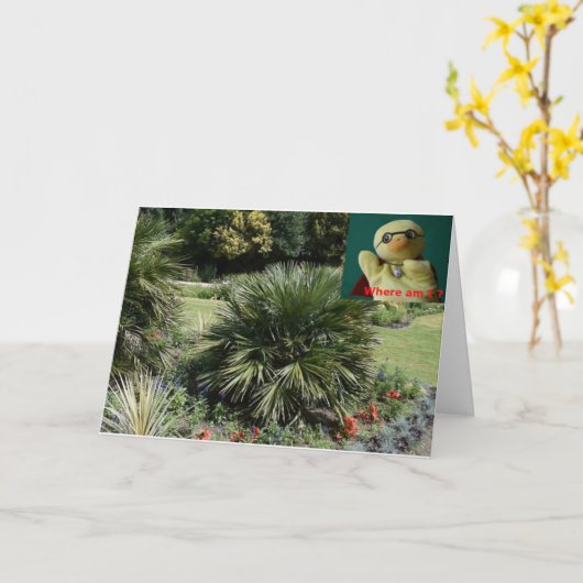 どこにいるの？ #5c カード (黄色い花)