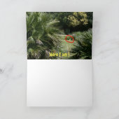 どこにいるの？ #5d カード (内部)