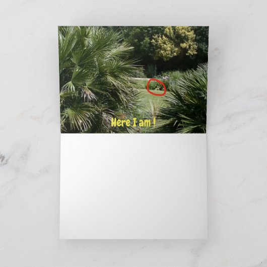 どこにいるの？ #5d カード (内部)