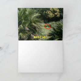 どこにいるの？ #5d カード