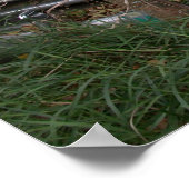 どこにも行かない ポスター (角)