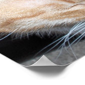 どこにモー... ポスター (角)