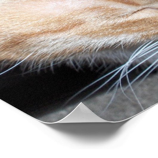 どこにモー... ポスター (角)