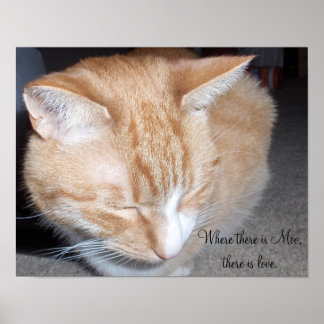 どこにモー... ポスター