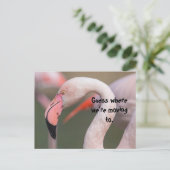 どこに移動カードがあるか推測する ポストカード (スタンド正面)