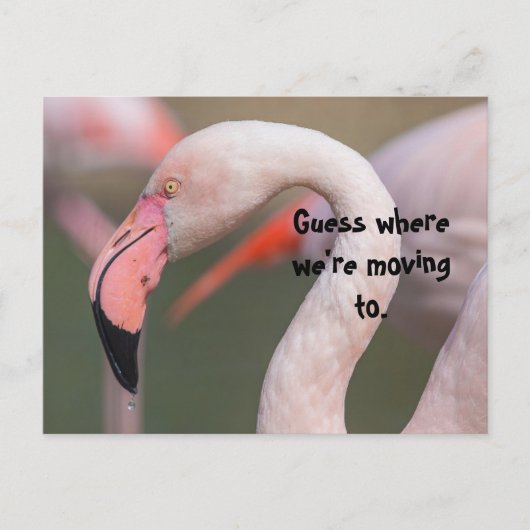 どこに移動カードがあるか推測する ポストカード (正面)