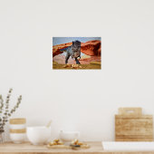 どこに行ったんだ?ポスター ポスター (キッチン)