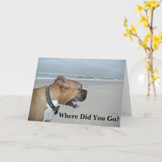 どこに行った？ カード (黄色い花)