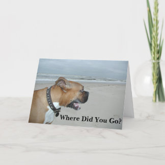 どこに行った？ カード