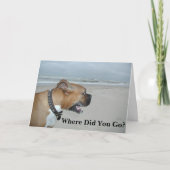 どこに行った？ カード (正面)