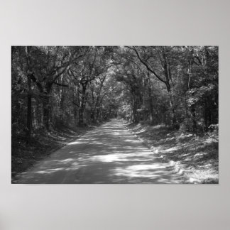 どこへも行けない道 ポスター