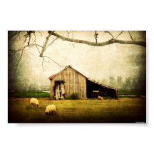 どこへ行ってもこの家と呼べ