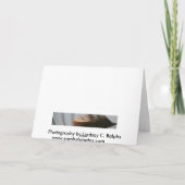 どこも梳くべき桟橋 カード (裏面)